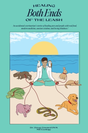 BookCover_RFurlano_Edit_081125